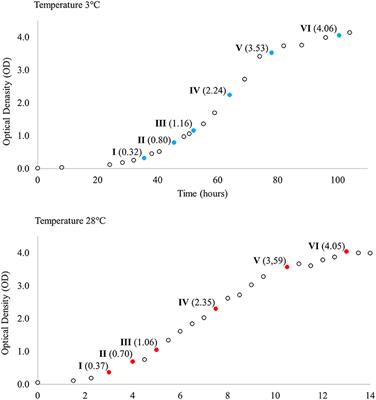 Changes in Transcriptome of Yersinia pseudotuberculosis IP32953 Grown at 3 and 28°C Detected by RNA Sequencing Shed Light on Cold Adaptation